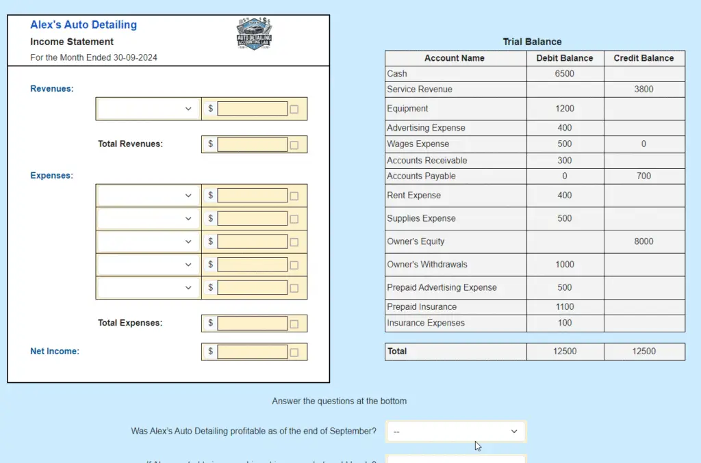 Income Statement for Alex's business accounting