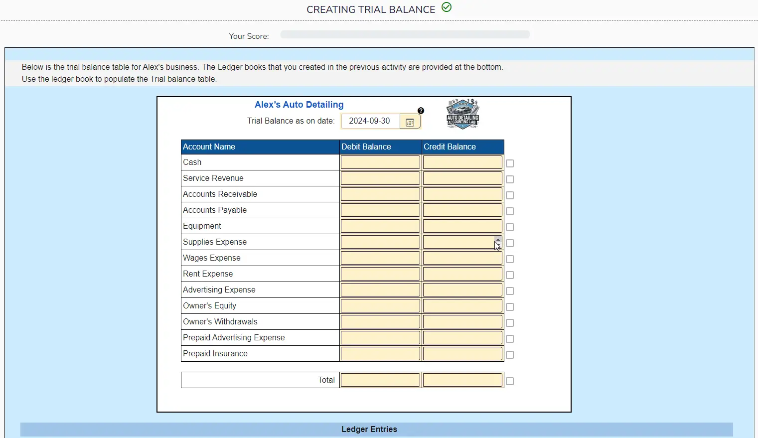 A student filling an auto-graded trial balance.